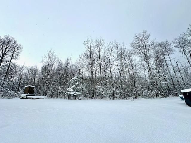 57231 406th St, Warroad, MN 56763