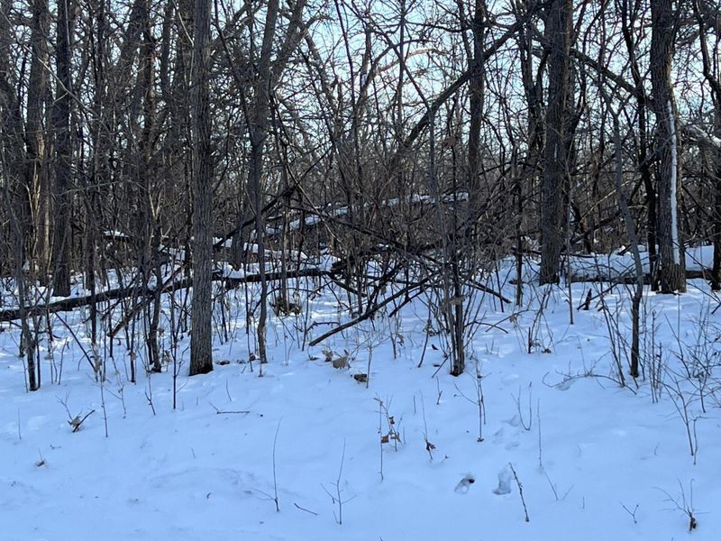 30067 Conita Cir, Paynesville, MN 56362