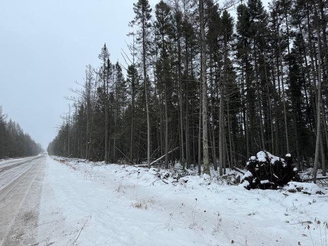 TBD E Four Corners Rd, Cromwell, MN 55726