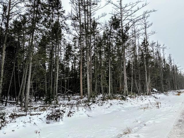 TBD E Four Corners Rd, Cromwell, MN 55726