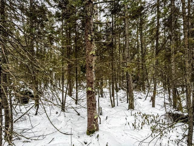 TBD E Four Corners Rd, Cromwell, MN 55726