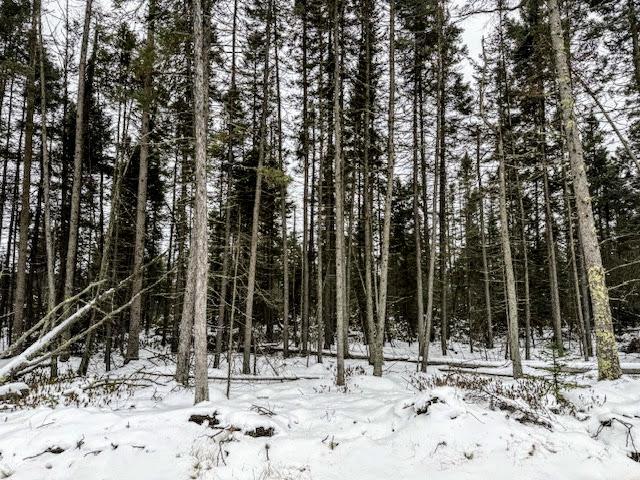 TBD E Four Corners Rd, Cromwell, MN 55726