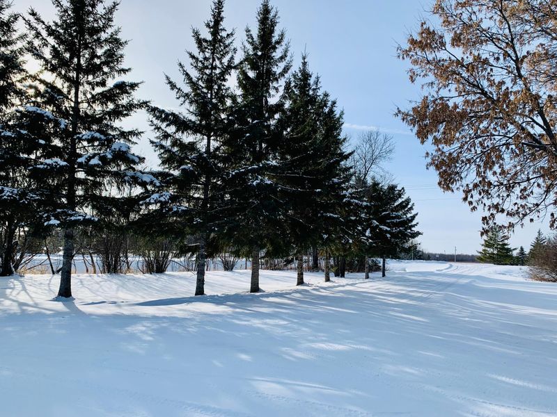 2984 16th St NW, Baudette, MN 56623
