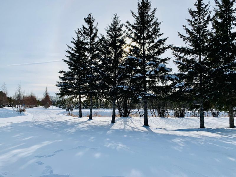 2984 16th St NW, Baudette, MN 56623
