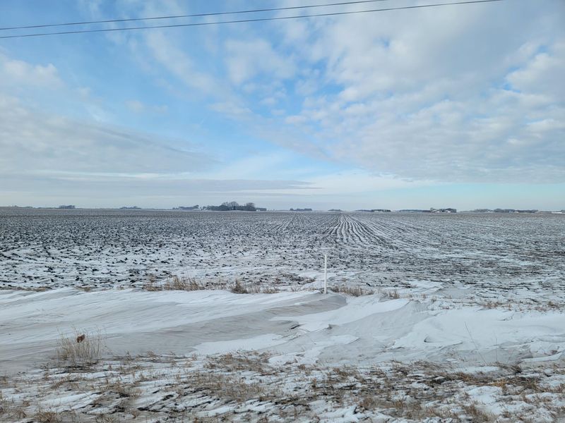 XXX 260th St, Comfrey, MN 56019