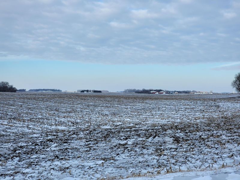 XXX 260th St, Comfrey, MN 56019