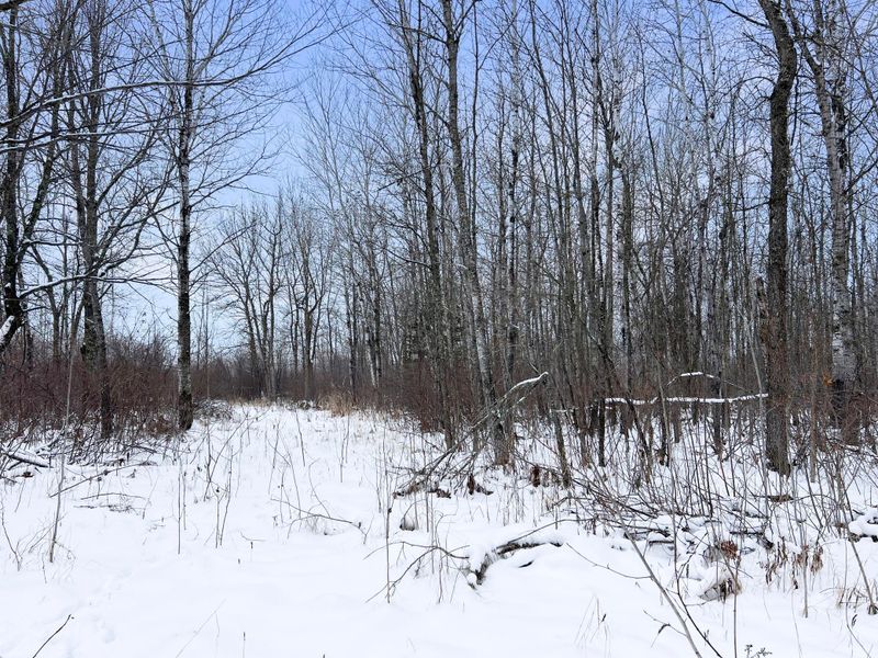 TBD Waldo Rd NE, Kelliher, MN 56650