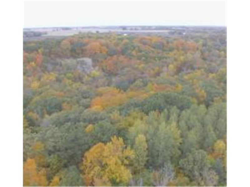 7680 Martin Dr, Carver, MN 55315