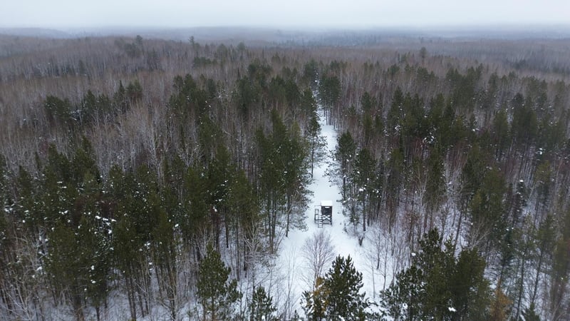 XXX Thompson Farm Rd, Soudan, MN 55782