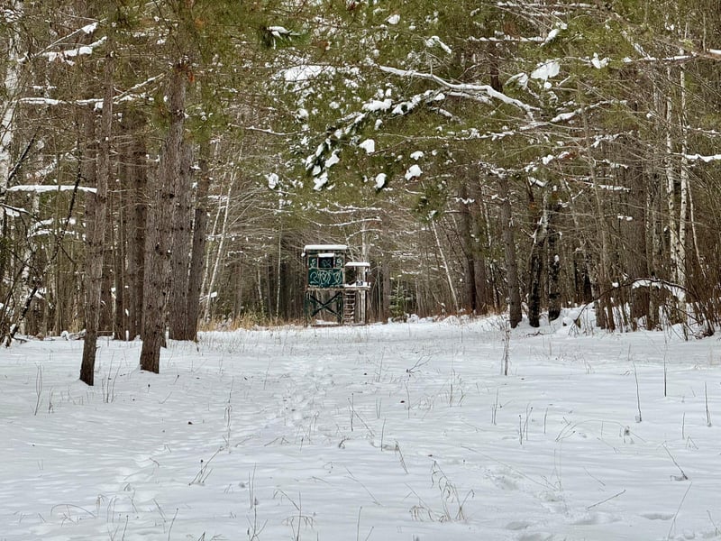 XXX Thompson Farm Rd, Soudan, MN 55782