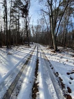 TBD Levi Ln, Crosslake, MN 56442