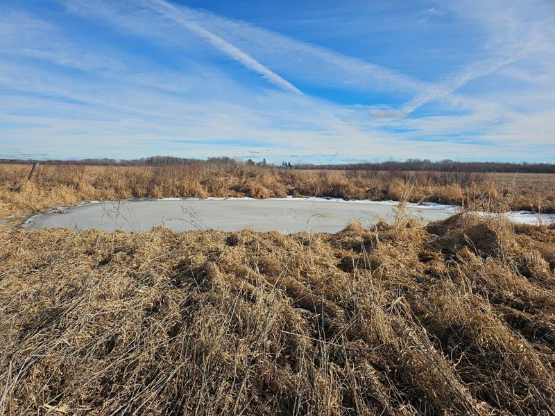 TBD 85 Acres Osprey Ave, Aitkin, MN 56431