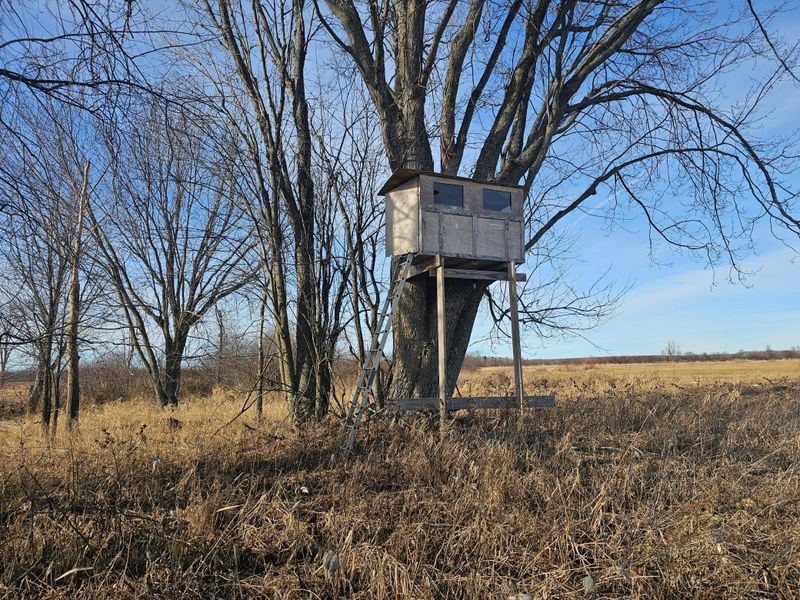 TBD 85 Acres Osprey Ave, Aitkin, MN 56431