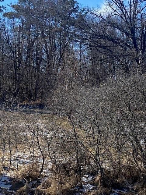 TBD County Rd 36, Bemidji, MN 56601