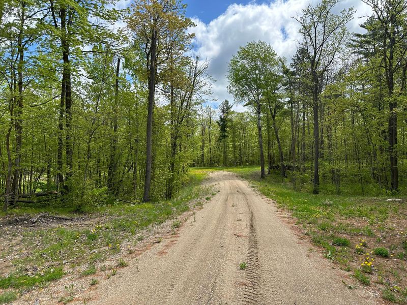 33060 221st Ave, Bagley, MN 56621