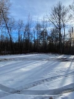 xxxx Levi Ln, Crosslake, MN 56442