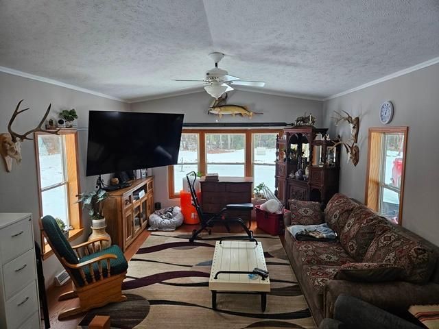 30994 Wabana Rd, Grand Rapids, MN 55744
