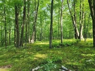 Lot 165 Deerpath Rd, Danbury, WI 54830