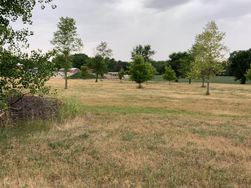XXX Karen Ct, Darwin, MN 55324