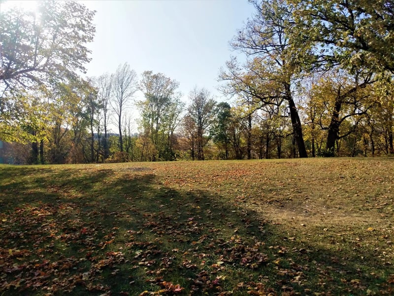 1164 Pond Curve, Waconia, MN 55387