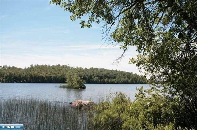 95816 Pine Island, Tower, MN 55790