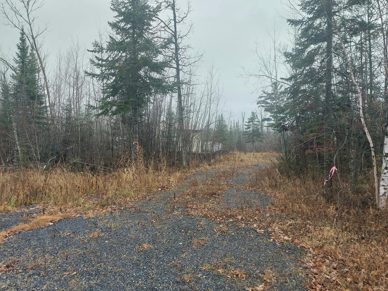 Parcel D Co Rd 119, Ray, MN 56669