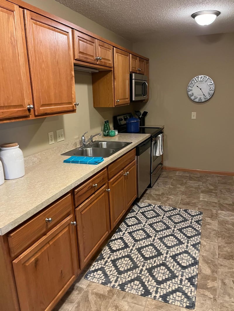 713 Shoreline Dr, Howard Lake, MN 55349