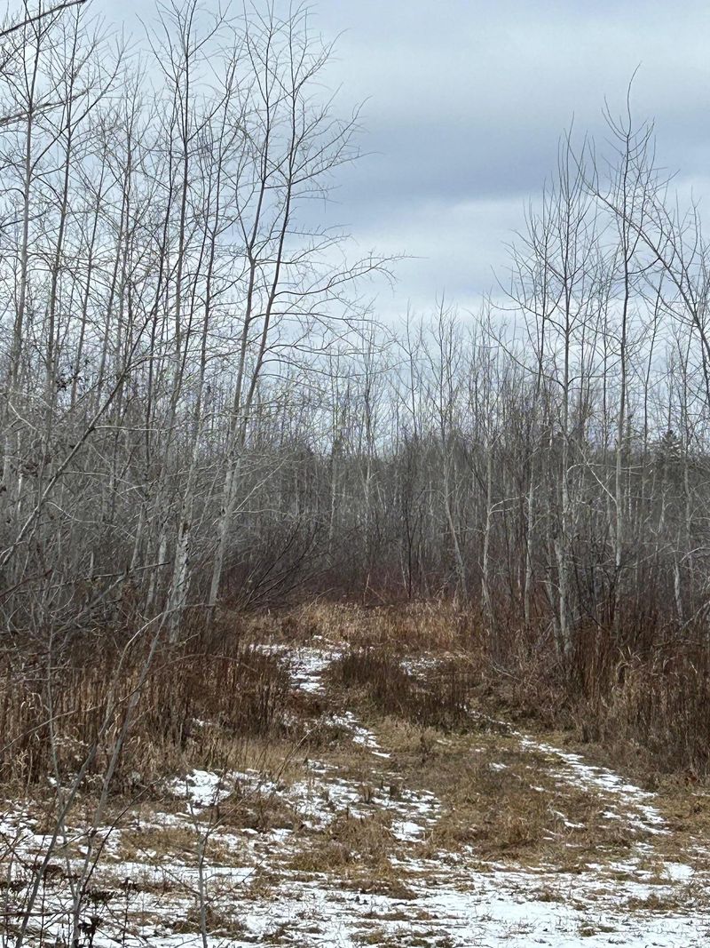 000 State Highway 23, Holyoke, MN 55749
