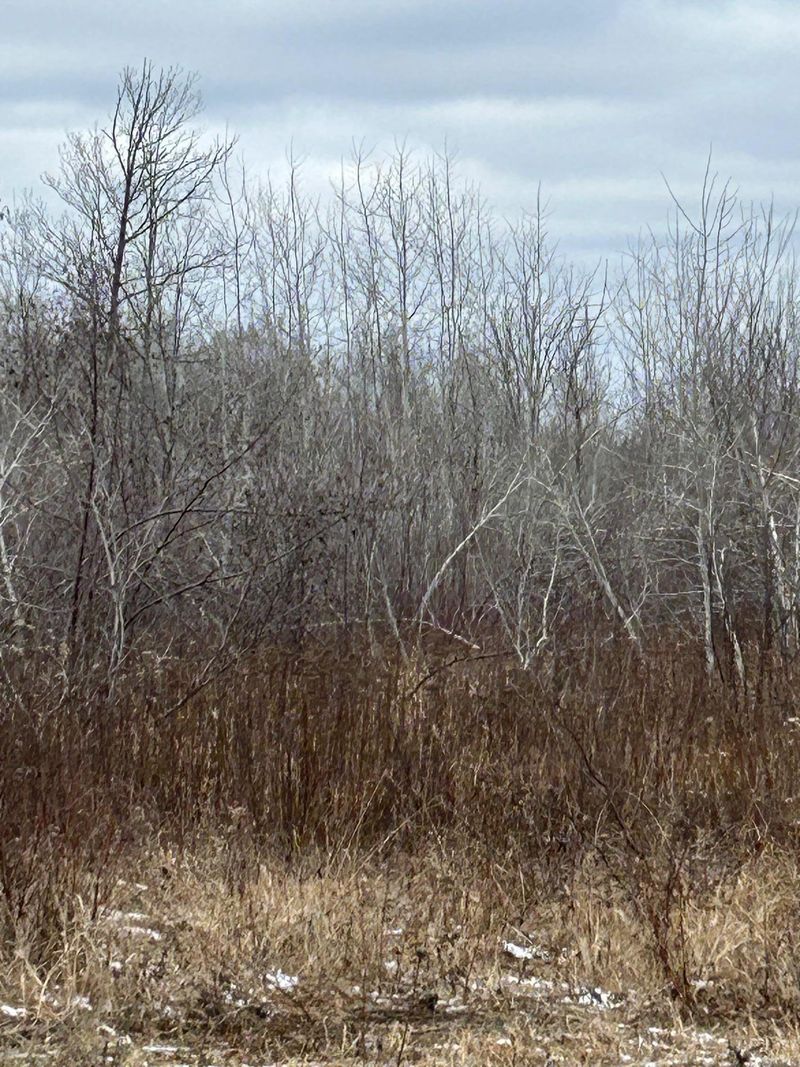 000 State Highway 23, Holyoke, MN 55749