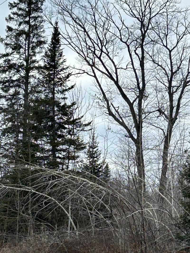 000 State Highway 23, Holyoke, MN 55749