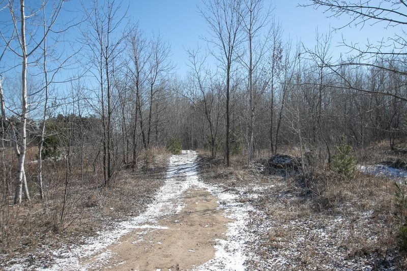 TBD Pine Lake Rd NE, Cambridge, MN 55008