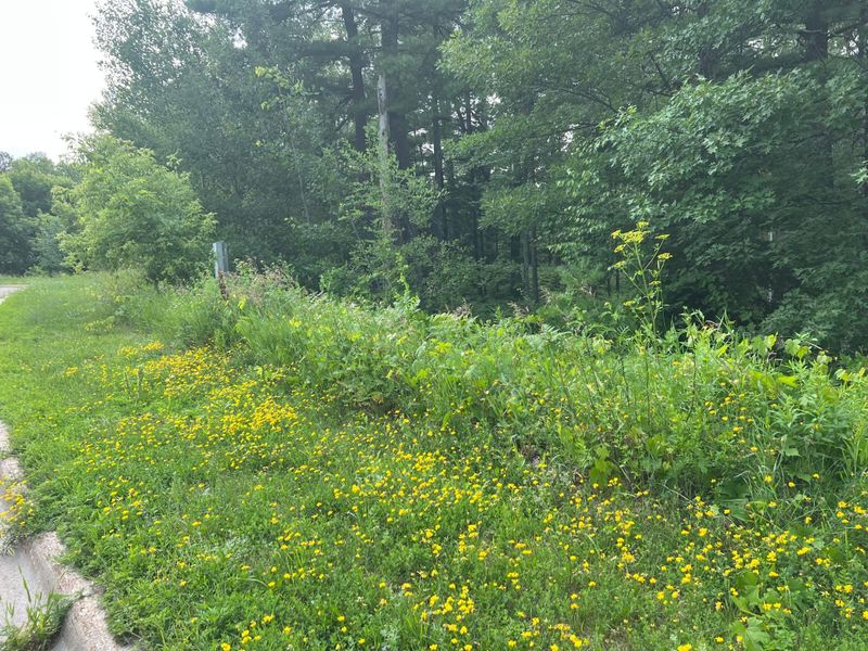 TBD Lot 3 5th St S, Walker, MN 56484