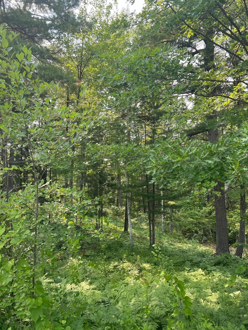 TBD Lot 3 5th St S, Walker, MN 56484