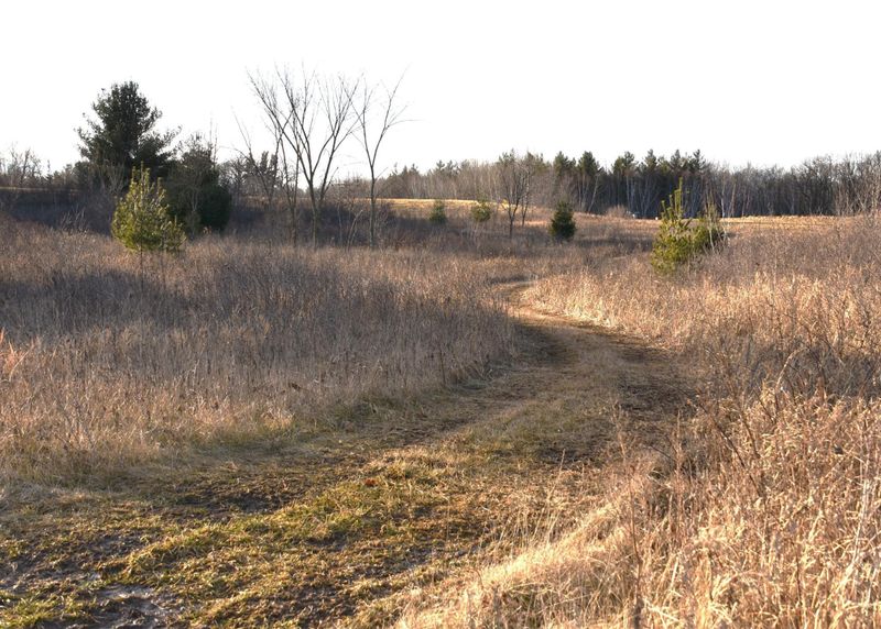 27XX 195th Ave, Mora, MN 55051