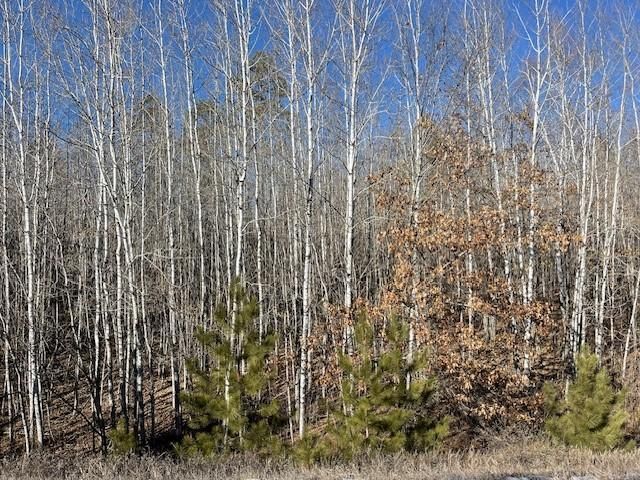 TBD Fenwick Cir, Park Rapids, MN 56470