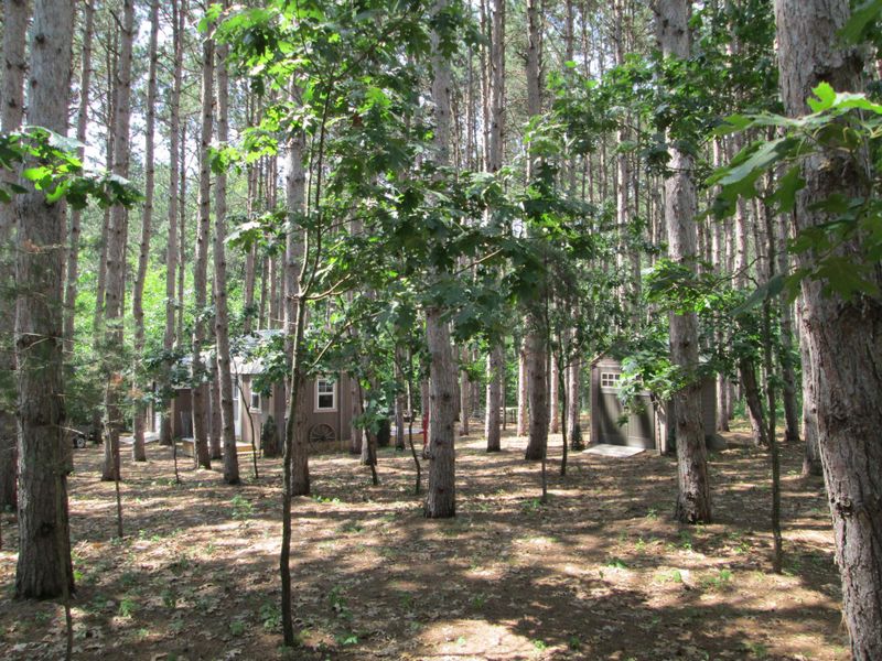 14624 662nd St, Wabasha, MN 55981