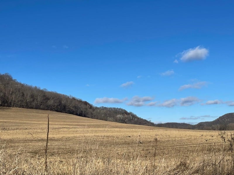 0 N Pine Creek Rd, La Crescent, MN 55947