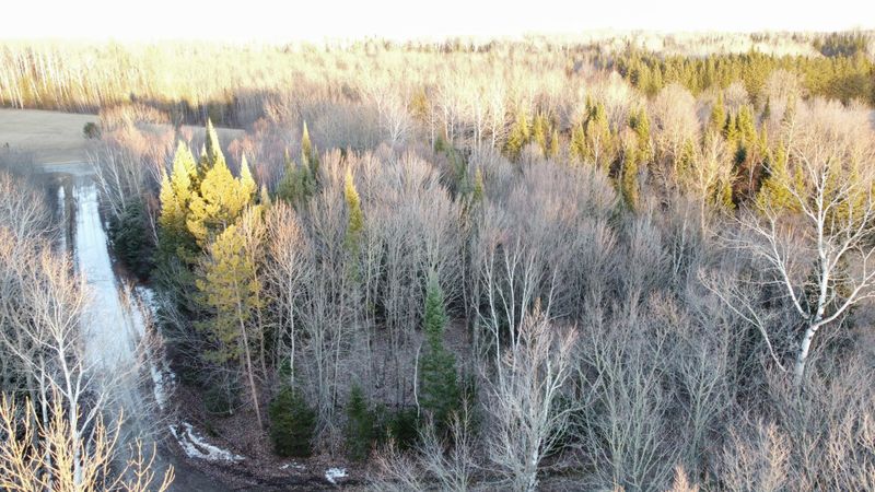 TBD State Highway 6, Bigfork, MN 56628