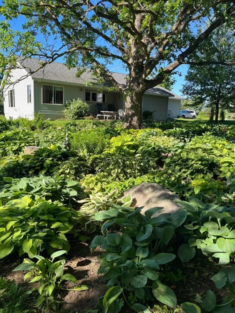 6195 180th St, Milaca, MN 56353