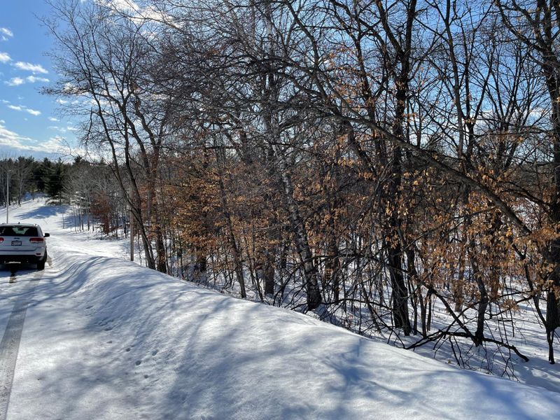 XXXX Overland Dr, Browerville, MN 56438