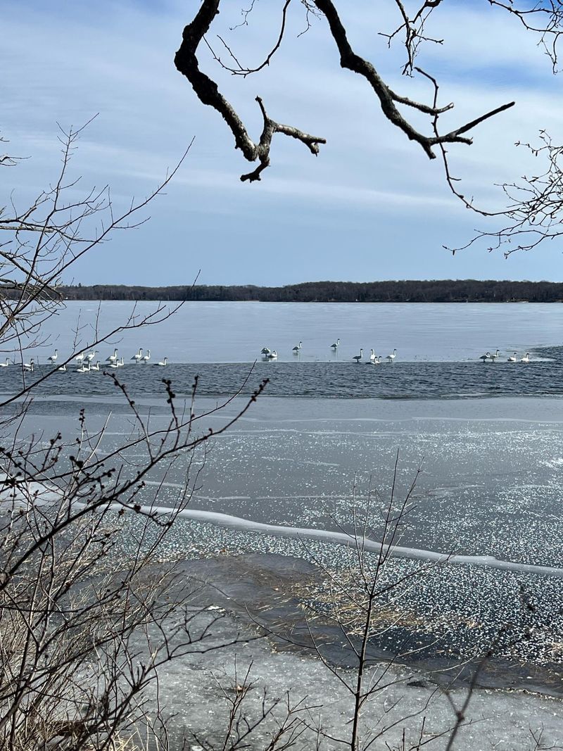 tbd 420th Ave, Aitkin, MN 56431