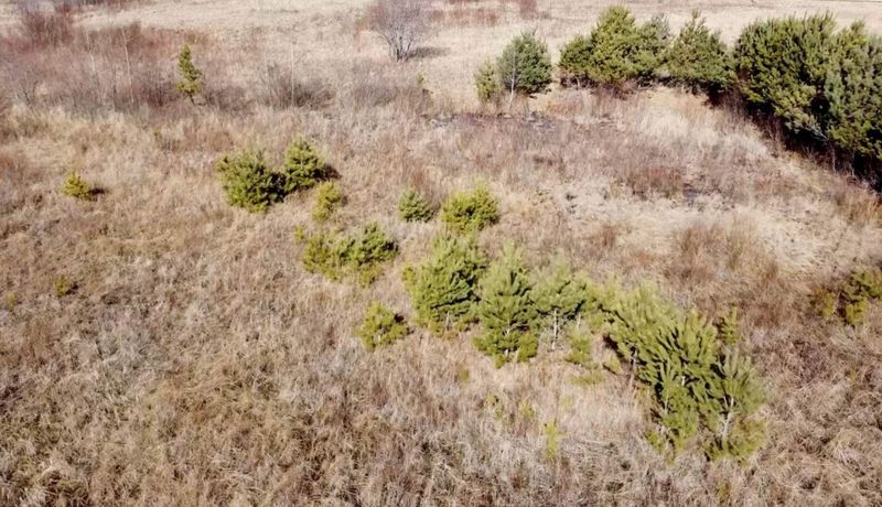xxxxx 155th St NE, Foley, MN 56329