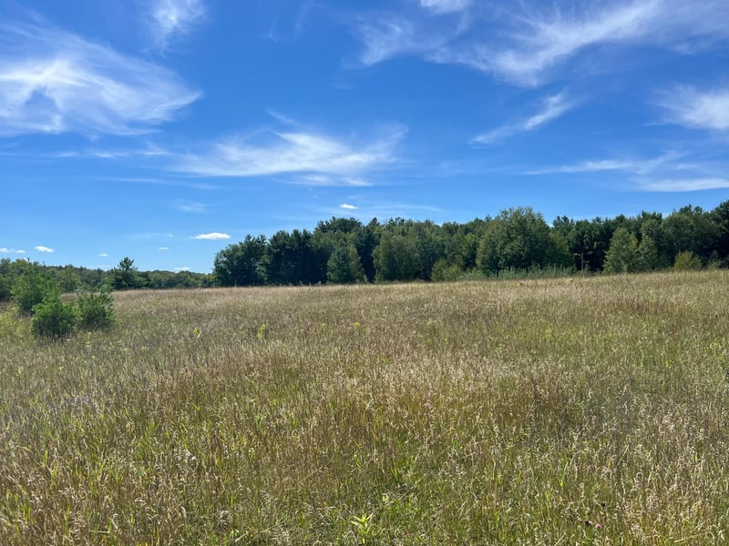 Lot 3 Todd Rd, Sarona, WI 54870