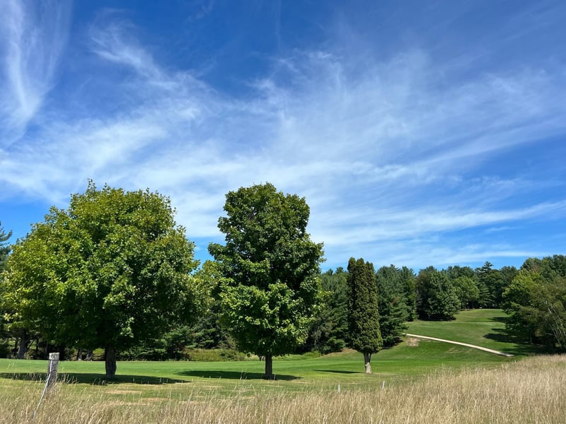 Lot 3 Todd Rd, Sarona, WI 54870
