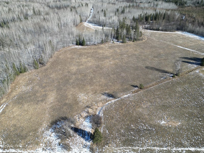 TBD Carpenter Rd, Angora, MN 55703