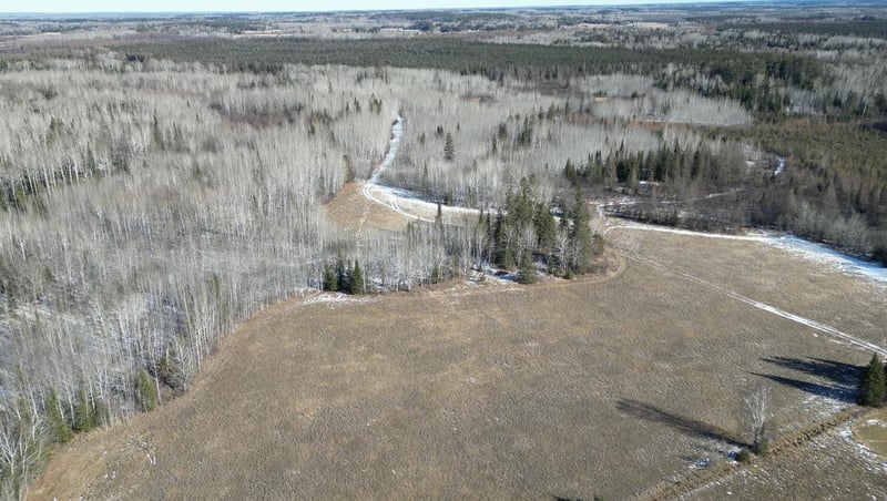 TBD Carpenter Rd, Angora, MN 55703