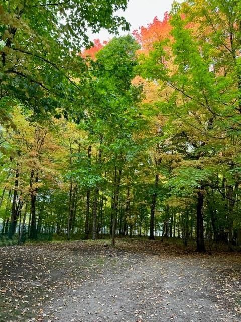 38155 Dead Lake Rd, Richville, MN 56576