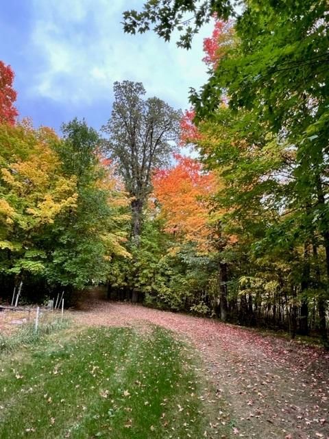 38155 Dead Lake Rd, Richville, MN 56576