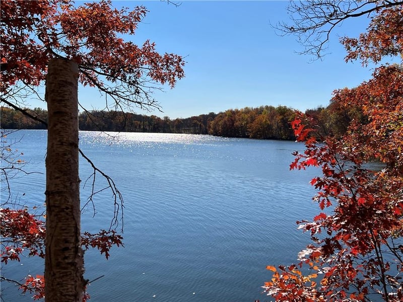 XXX Balsam Dr, Birchwood, WI 54817