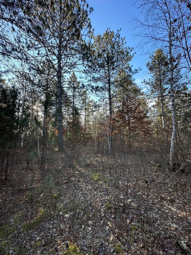 TBD County 136, Menahga, MN 56464